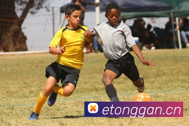 App Interface Preview